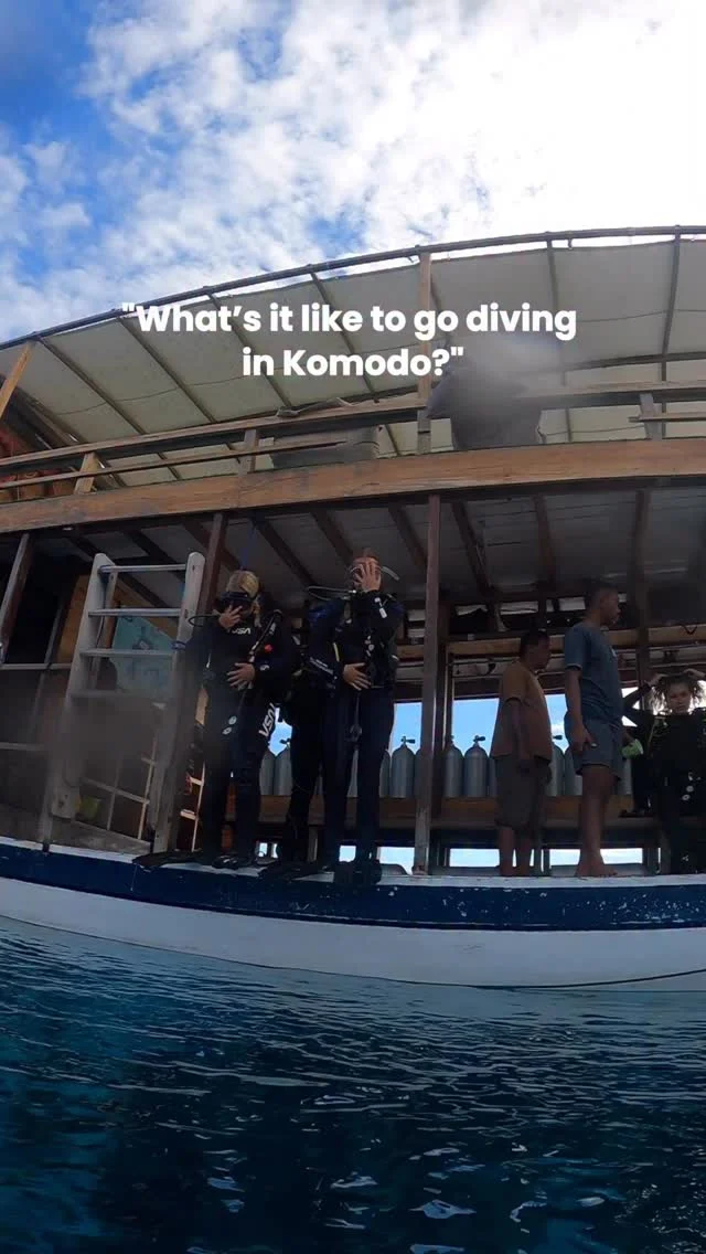 warning: you will fall in love with the ocean here!! we're now open in Komodo!
.
Come experience Komodo with us! 🤿🌊
.
LEGEND DIVING INDONESIA
📍Nusa Lembongan & Nusa Penida, Bali
📍Komodo, Flores
.
#divekomodo #komodoindonesia #komododivetrip #scubadivingkomodo #komodoscubadiving